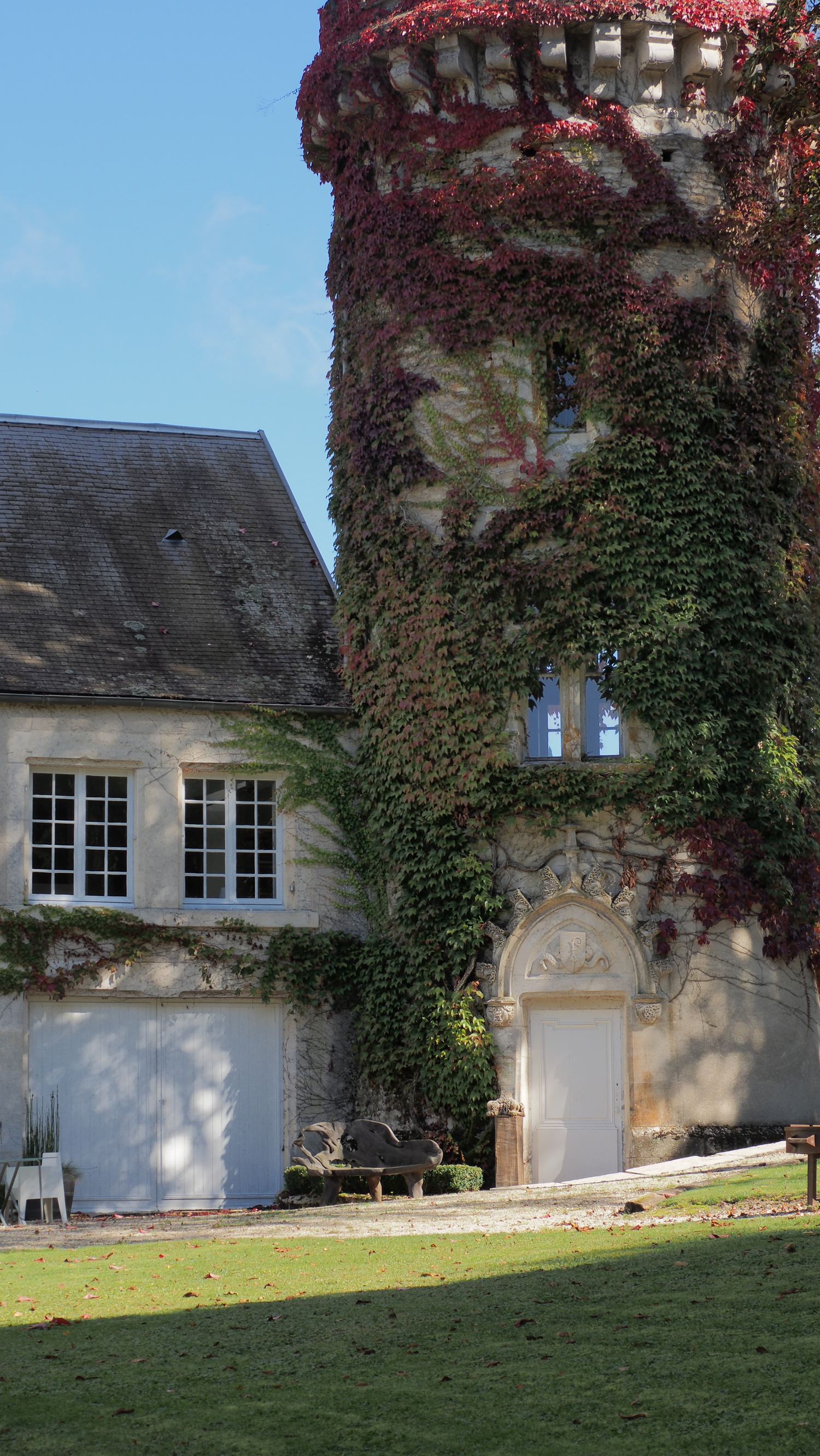 Façade et vigne vierge