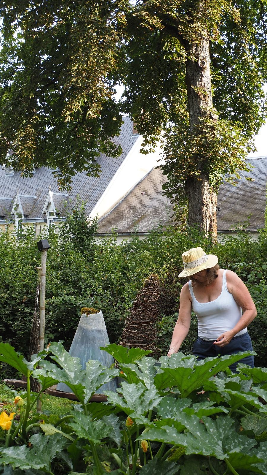 Le potager en permaculture